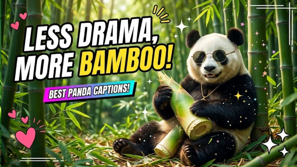 How to Use These Panda Puns